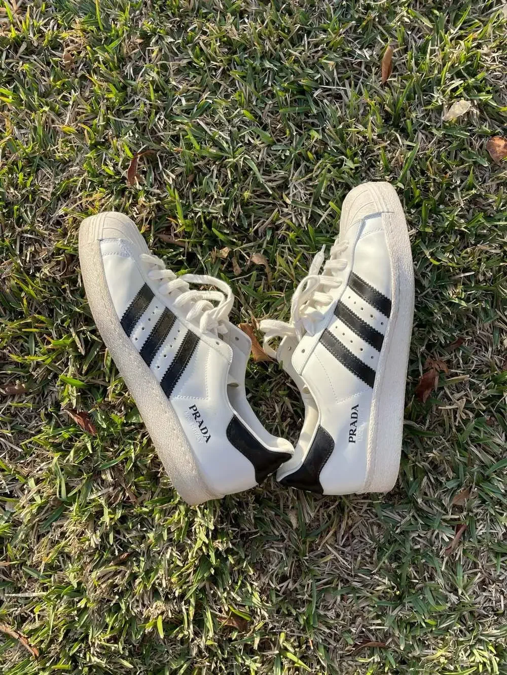 Prada x Adidas Superstar Low-Top Sneakers in White and Black